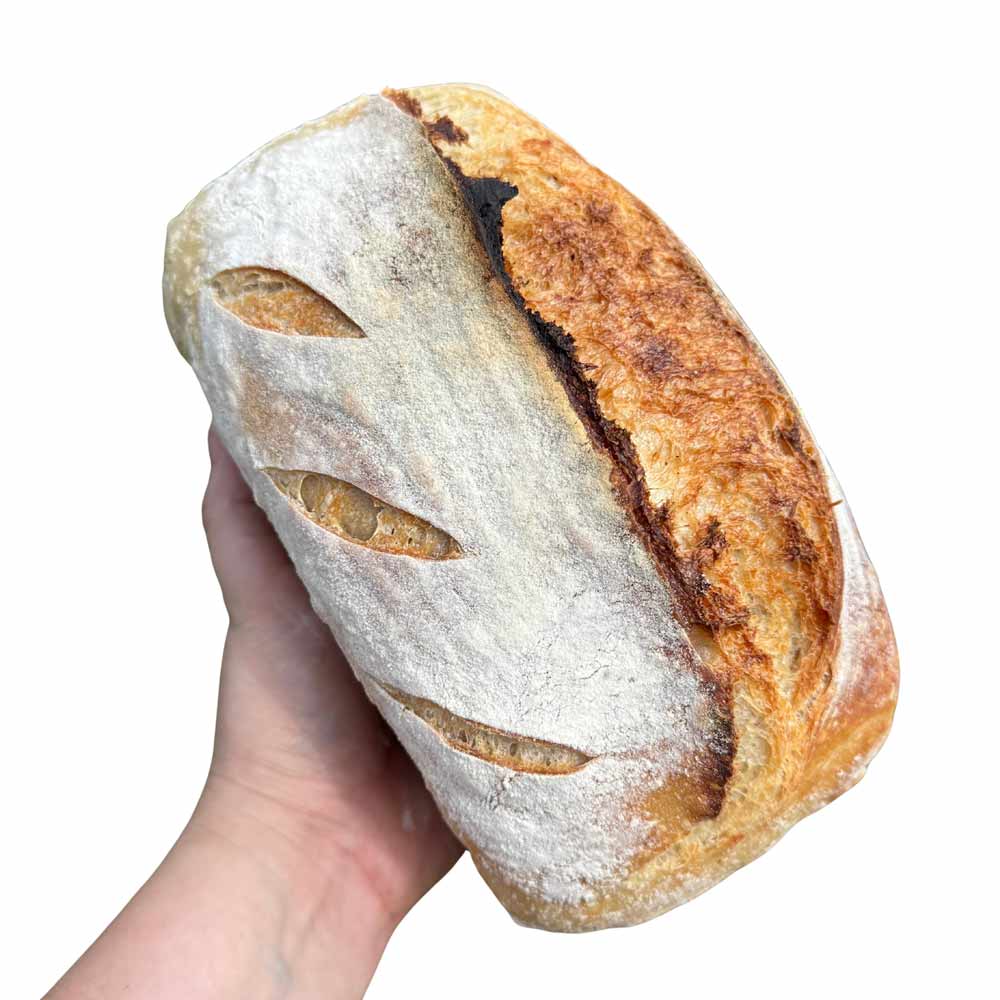 sourdough bread